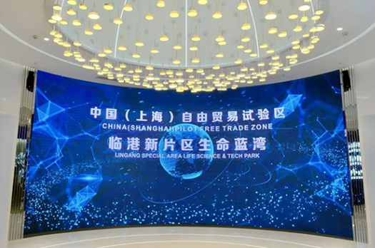 临港注册公司